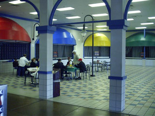 Picnicking at the Mall